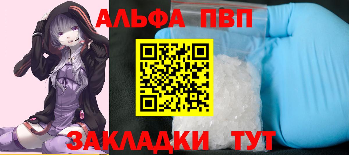 Альфа ПВП СК Камень-на-Оби