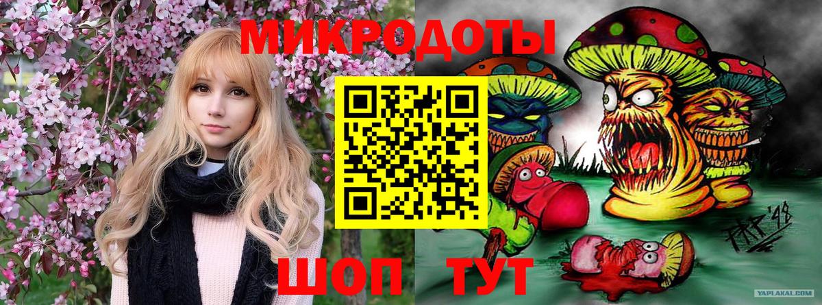 МЕТАДОН Камень-на-Оби