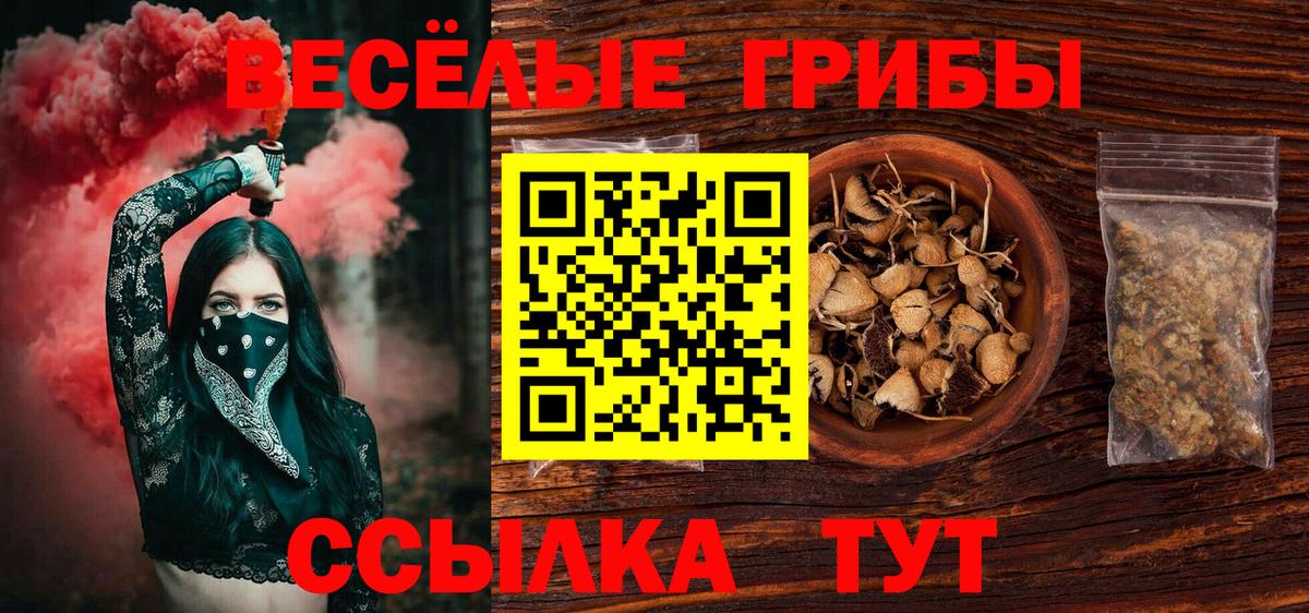 Камень-на-Оби  Псилоцибиновые грибы Psilocybe  Вход с VPN 