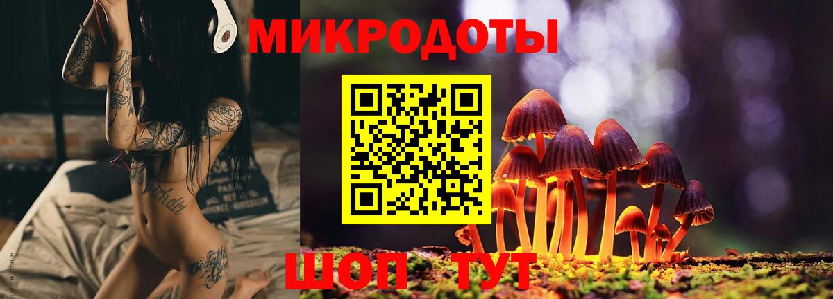 Псилоцибиновые грибы MAGIC MUSHROOMS Камень-на-Оби