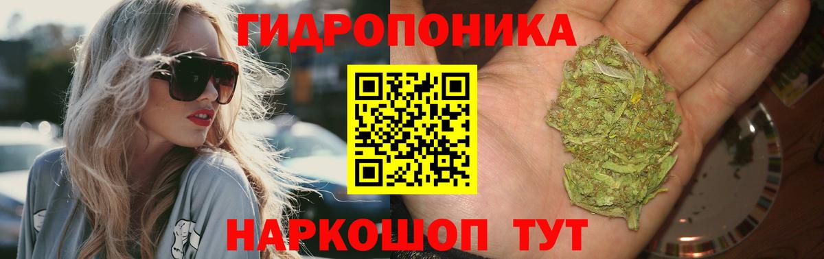 Конопля VHQ  Шишки марихуана AK-47  Камень-на-Оби  Вход с VPN  Каннабис тримм  Бошки Шишки конопля 